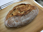 muestra: batard de pan