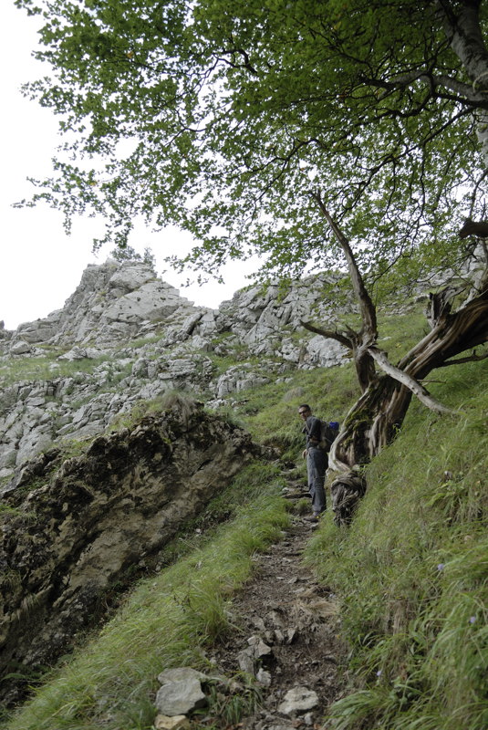 Cerca del collado