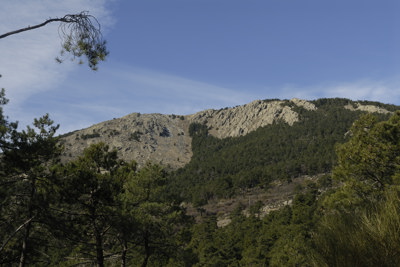 Cerro de la Cabeza