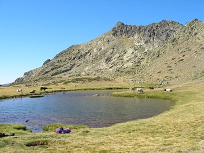 La laguna de los Pjaros