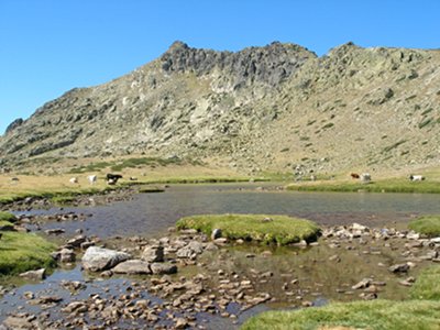 La laguna de los Pjaros