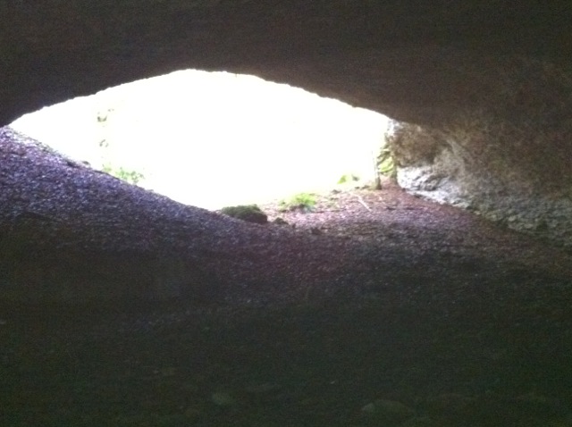 Desde el interior de la cueva