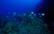 El Hierro 11/12/2003